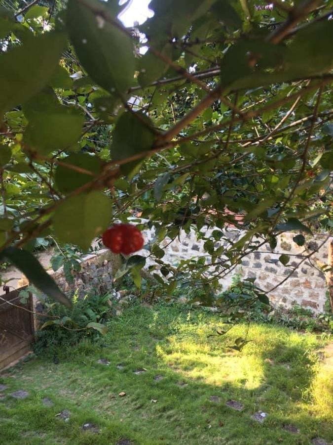 Casa No Paraiso Ecologico Da Ilha Grande Eksteriør bilde